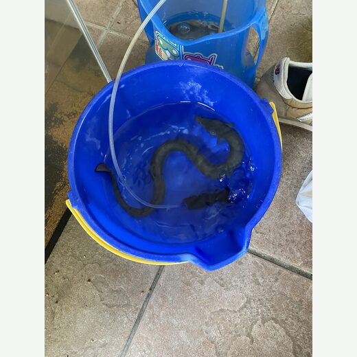 料理・家族の写真 1